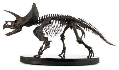 Jurassic World ECC Elite Creature Line Statue 1/12 Triceratops Fossil Skeleton Bronze 33 cm Elite Creature Collectibles