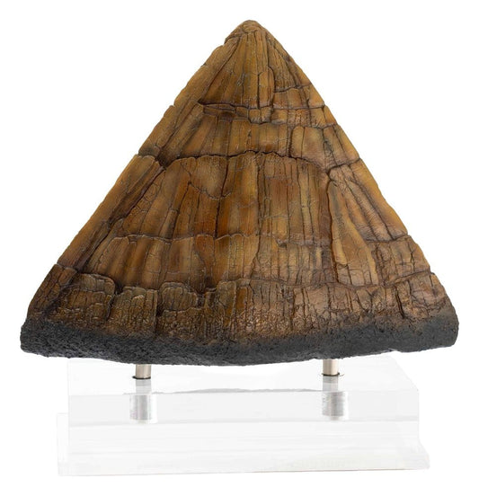 Jurassic Park Statue Triceratops Spike Prop (Reproduction) 19 cm Elite Creature Collectibles