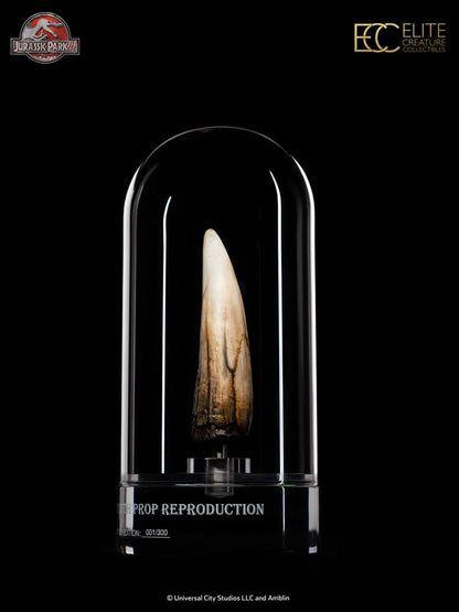 Jurassic Park III Prop Replica 1/1 Spinosaurus Tooth 14 cm