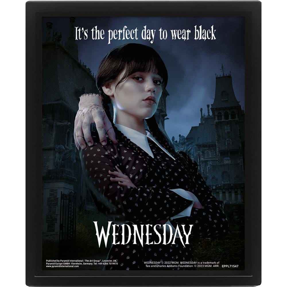 Wednesday Wednesday 3D Lenticular Framed Poster Perfect Day 26 x 20 cm