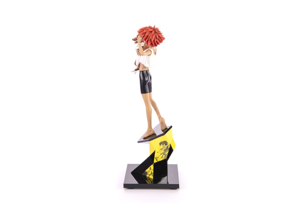Cowboy Bebop Statue 1/8 Ed & Ein 28 cm First 4 Figures
