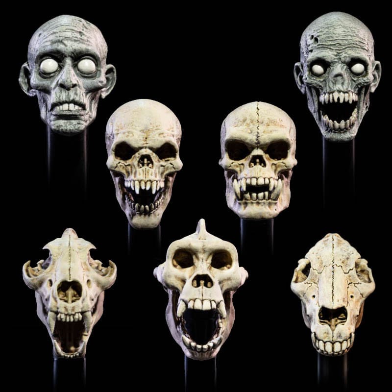 Mythic Legions: All Stars 6 Action Figure Accessorys Undead Heads Pack Action figures