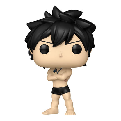 Fairy Tail 100 Year Quest POP! Animation Vinyl Figures Gray w/Chase 9 cm Assortment (6) Funko