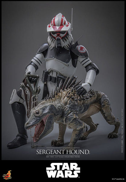 Star Wars: The Clone Wars Action Figure 1/6 Sergeant Hound 30 cm Hot Toys
