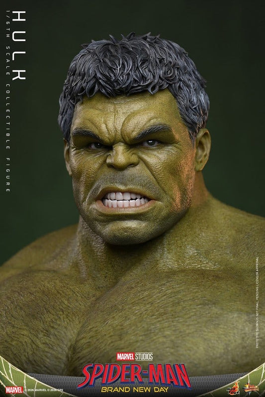 Marvel Action Figure 1/6 Hulk 51 cm