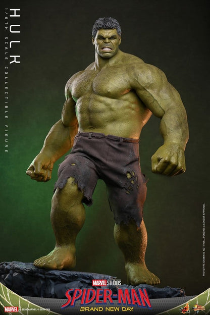 Marvel Action Figure 1/6 Hulk 51 cm