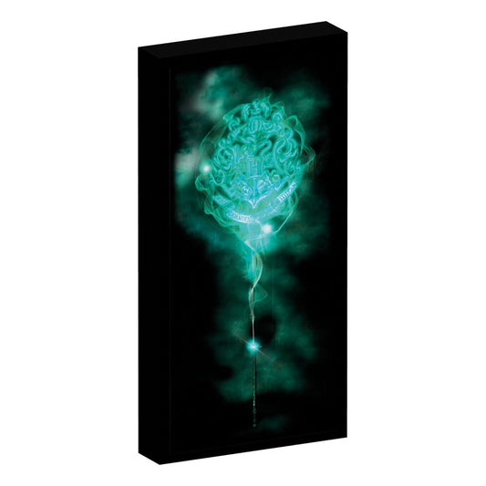 Harry Potter Canvas Poster (With Light) Posters & Wallscrolls