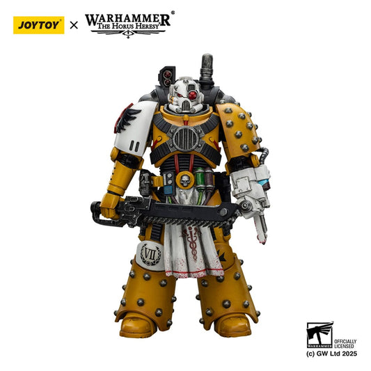 Warhammer 40,000: imperial Fists Action Figure Legion Apothecary 12 cm Joy Toy (CN)