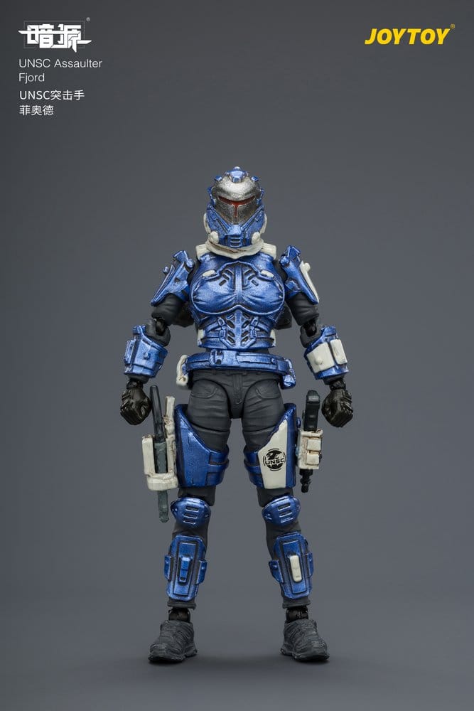Dark Source UNSC Action Figure Assaulter Fjord 8 cm