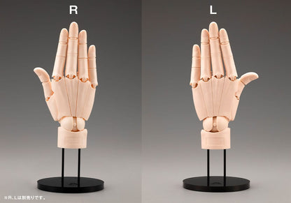 Takahiro Kagami PVC Artist Support Item Hand 1/1 Model/L Pale Orange 21 cm Kotobukiya