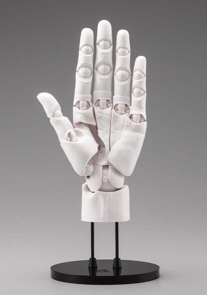 Takahiro Kagami PVC Artist Support Item Hand 1/1 Model Men /L White 22 cm