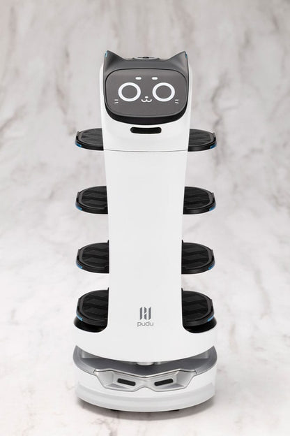 Pudu Robotics Grande ScalePlastic Model Kit BellaBot 19 cm