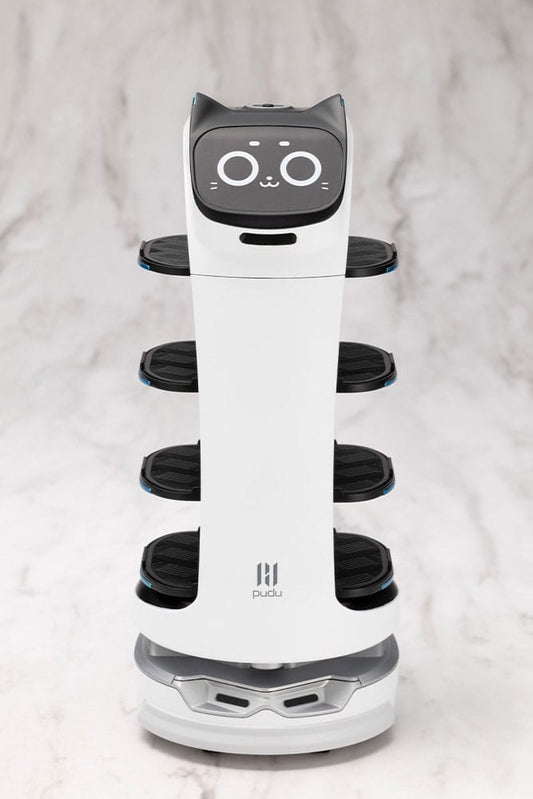 Pudu Robotics Grande ScalePlastic Model Kit BellaBot 19 cm
