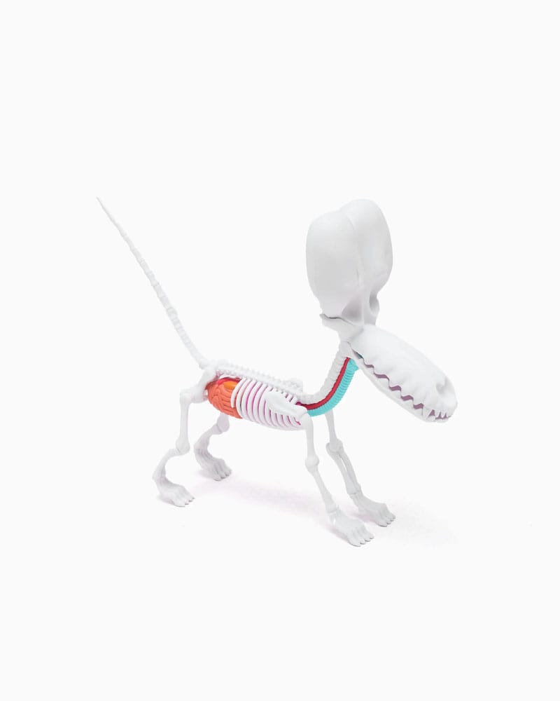 Funny Anatomy Honey Edition Balloon Dog Statue Statues