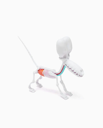 Funny Anatomy Honey Edition Balloon Dog Statue Statues