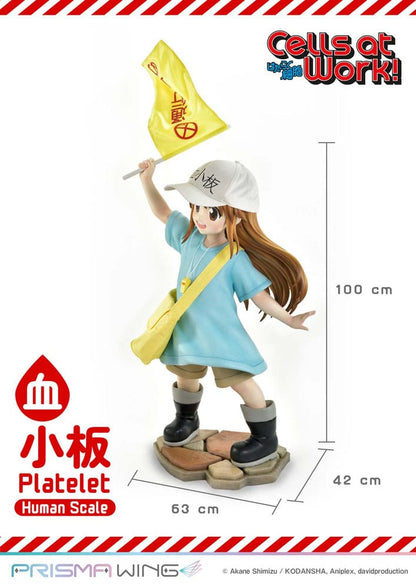 Cells at Work! Life Scale Masterline Series Statue Platelet 100 cm