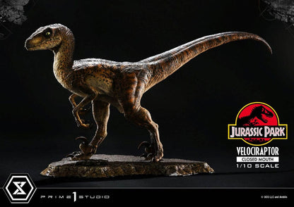 Jurassic Park Prime Collectibles Statue 1/10 Velociraptor Closed Mouth 19 cm Statues