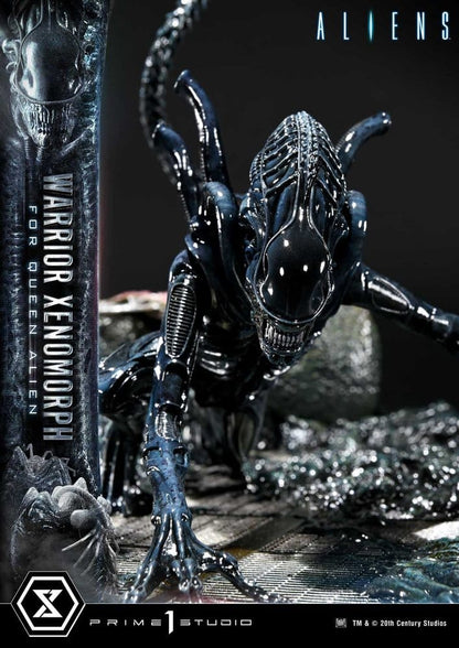 Aliens (Film) Ultimate Diorama Masterline Statue Warrior Xenomorph for Queen Alien 23 cm