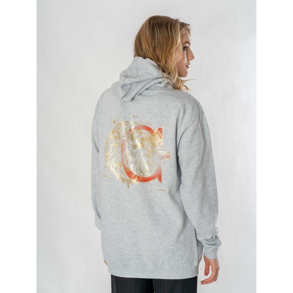 Harry Potter Hooded Sweater Gryffindor Zodiac CID