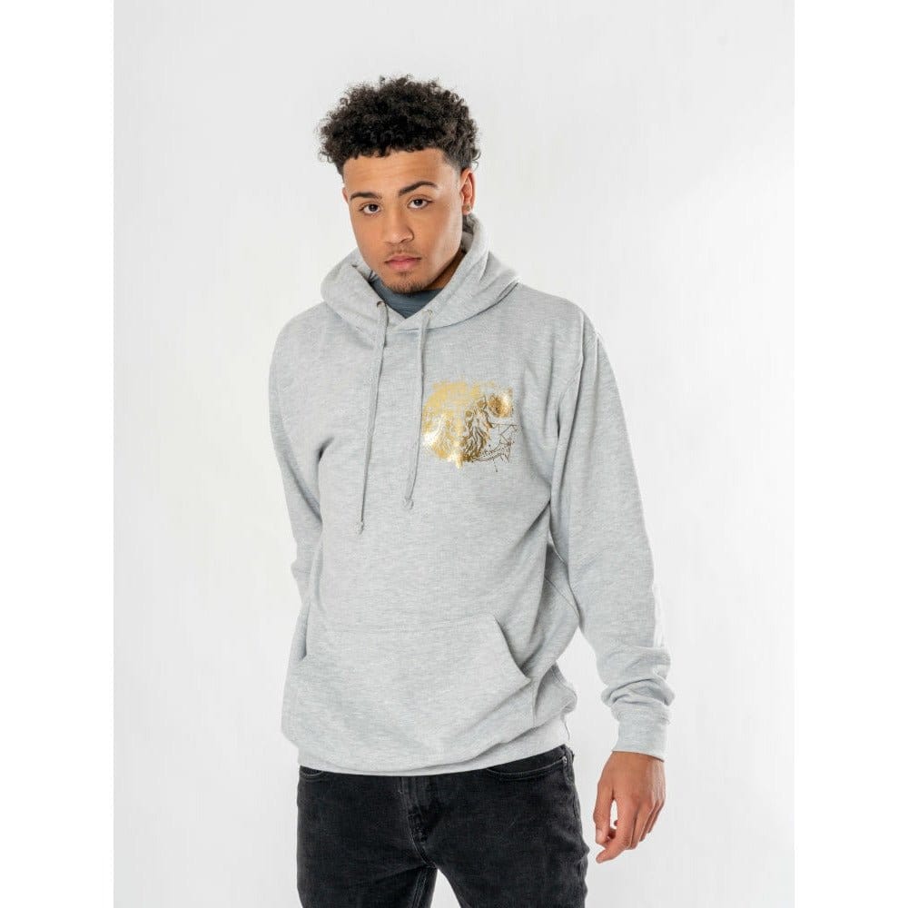 Harry Potter Hooded Sweater Gryffindor Zodiac CID