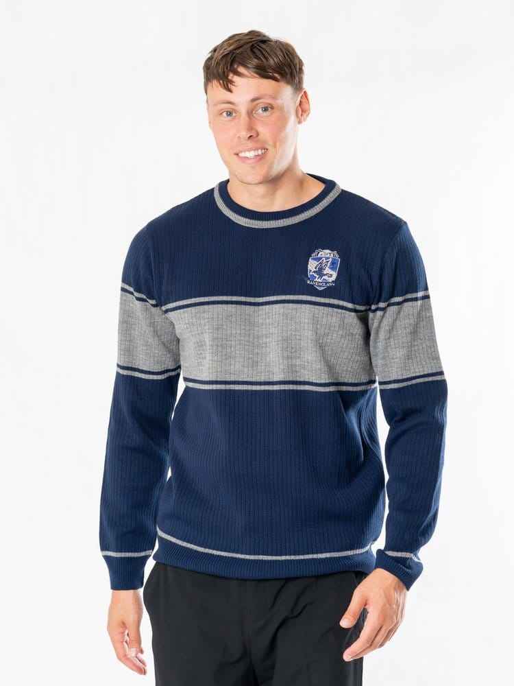 Harry Potter Sweater Ravenclaw Size S