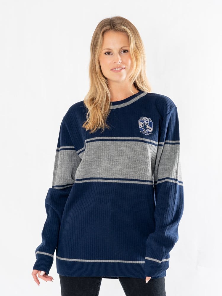 Harry Potter Sweater Ravenclaw CID