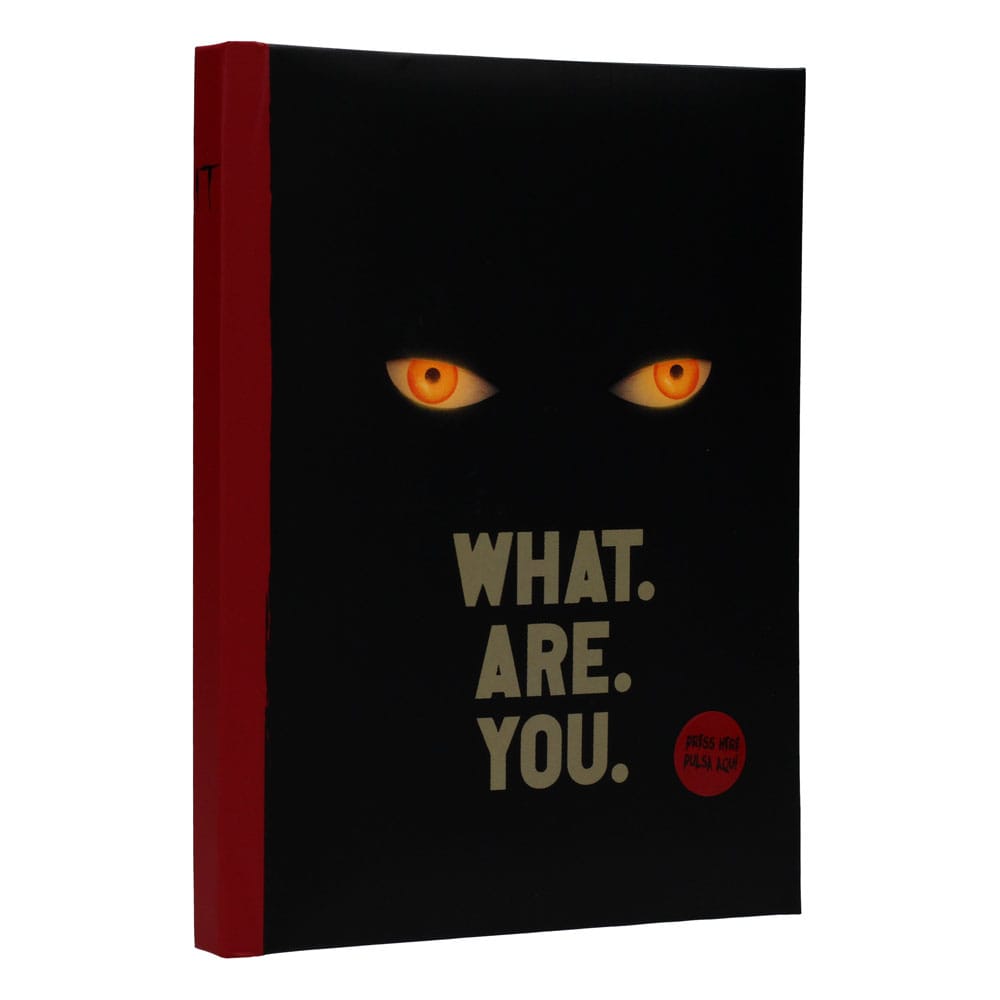 It Notebook with Light What are you