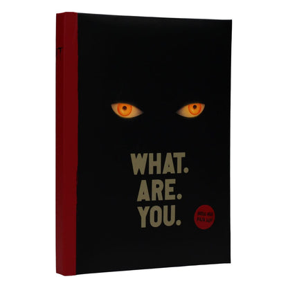 It Notebook with Light What are you