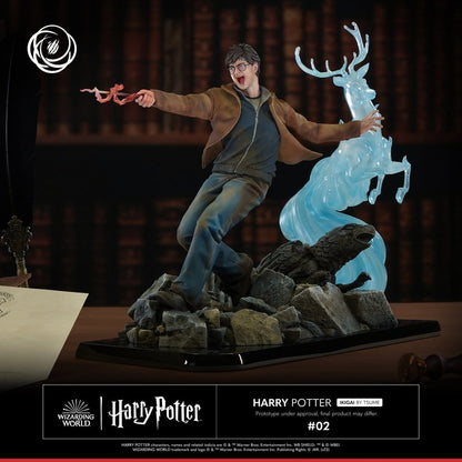 Harry Potter IKIGAI Figure 1/6 30 cm