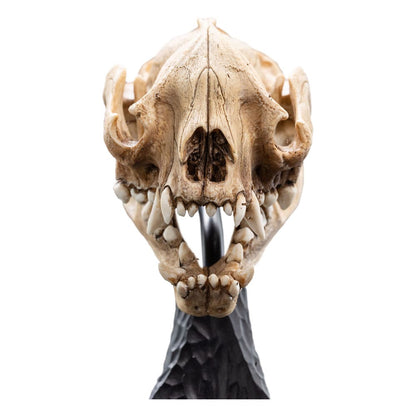 Lord of the Rings Mini Statue Skull of a Warg 20 cm Weta Workshop