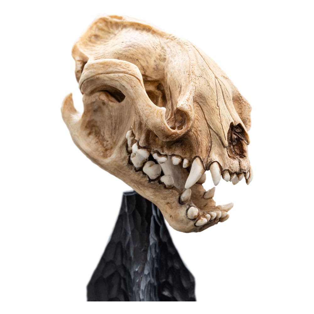 Lord of the Rings Mini Statue Skull of a Warg 20 cm Weta Workshop