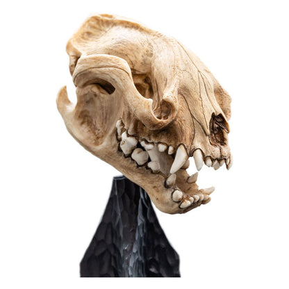 Lord of the Rings Mini Statue Skull of a Warg 20 cm Weta Workshop