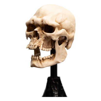 Lord of the Rings Mini Statue Skull of a Mordor Orc 14 cm Weta Workshop