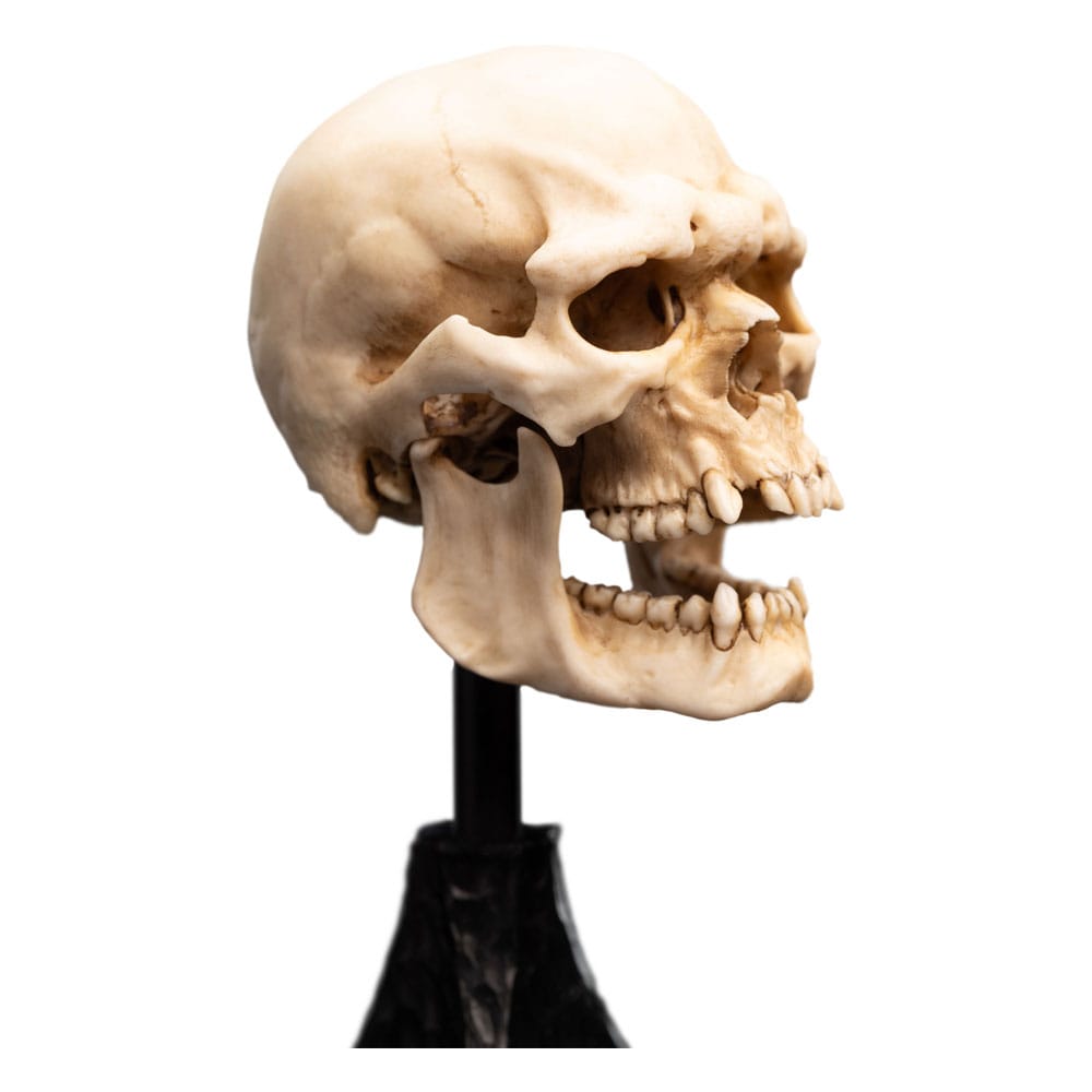 Lord of the Rings Mini Statue Skull of a Mordor Orc 14 cm Weta Workshop