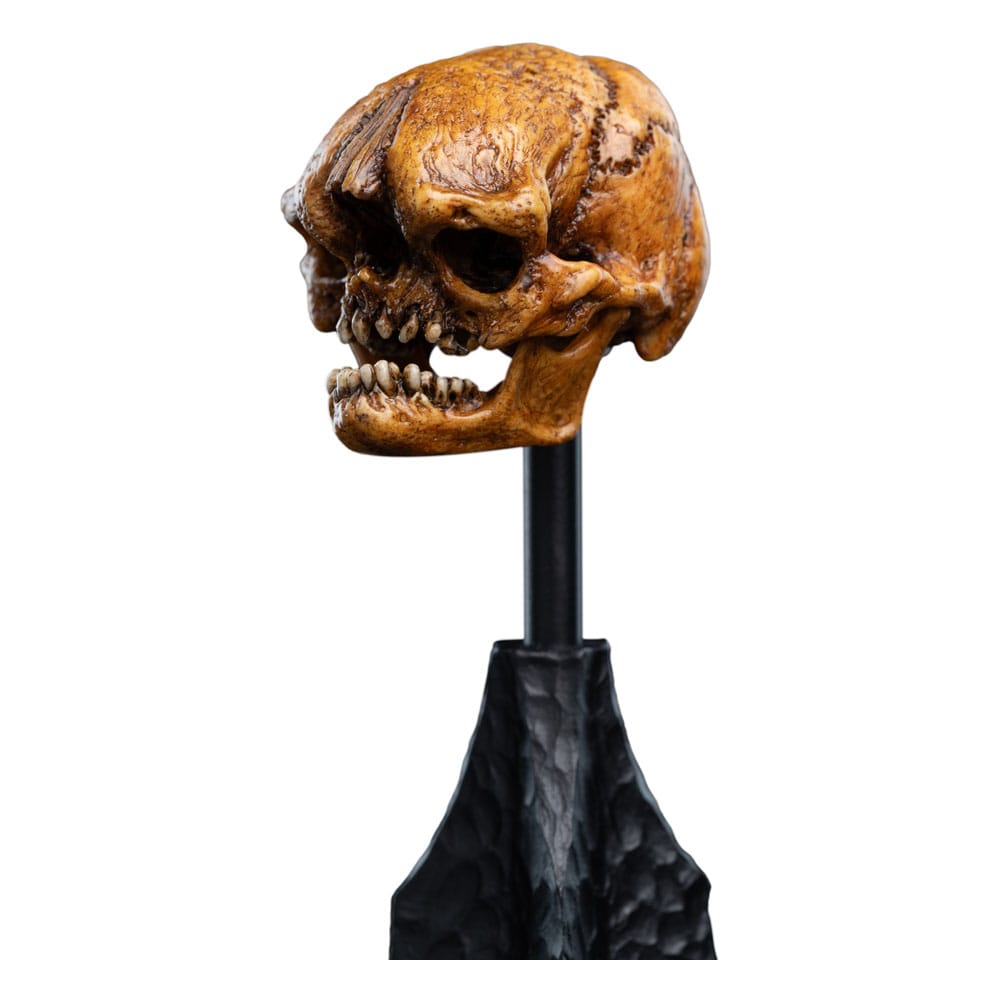 Lord of the Rings Mini Statue Skull of a Misty Mountain Goblin 14 cm Weta Workshop