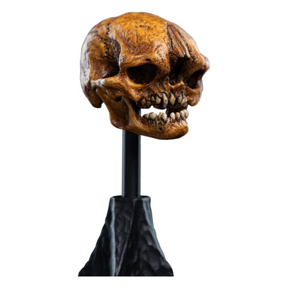 Lord of the Rings Mini Statue Skull of a Misty Mountain Goblin 14 cm Weta Workshop
