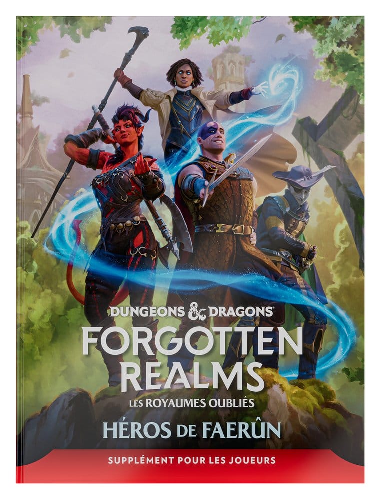 Dungeons & Dragons RPG Forgotten Realms: Héros de Faerun Player Expansion *French Version*